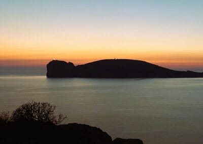 Sardinia Alghero Risinn liggjandi