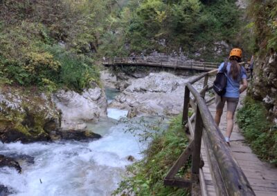 Fegurð við bled vatn 19