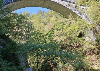 Fegurð við bled vatn 22